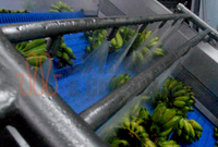 Fruits & Vegetable Pack House